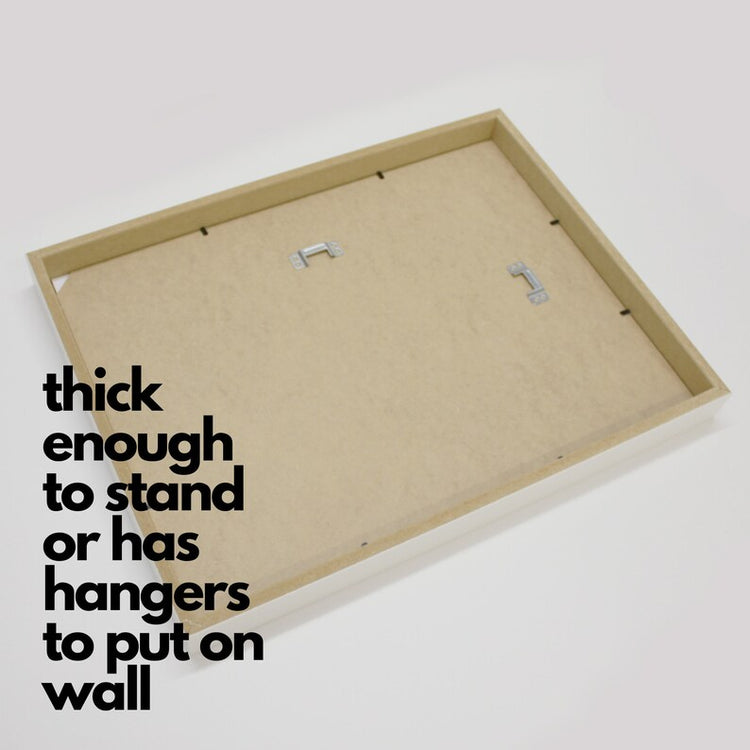 Framed Animal World Map – Educational Kids Nursery Wall Art