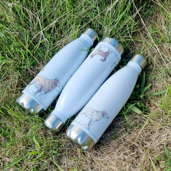 Personalised Dog Water Bottle – Reusable Gift for Dog Parents - Wow Creative Print